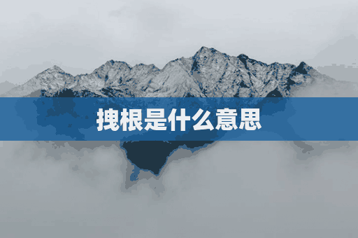 拽根是什么意思